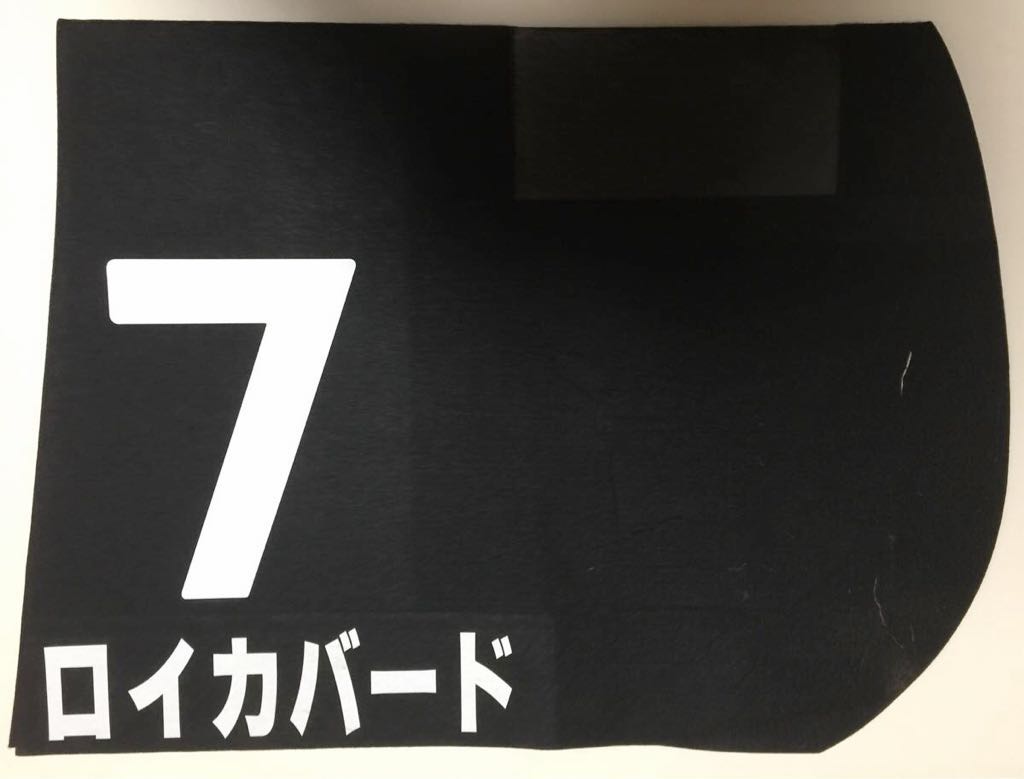 2026年最新Yahoo!オークション -競馬実使用ゼッケンの中古品・新品