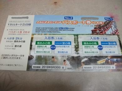 ★送料込み 長島ナガシマスパーランドパスポート券 又は　湯あみの島 里の湯 入浴券