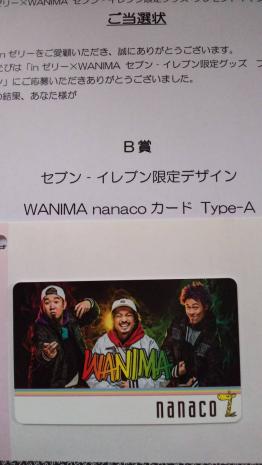 送料無料 セブンイレブン 限定 デザインイン WANIMA nanacoカード Type