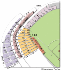 ☆4/13(金) 巨人vs広島☆ 通路側 3塁側B指定席