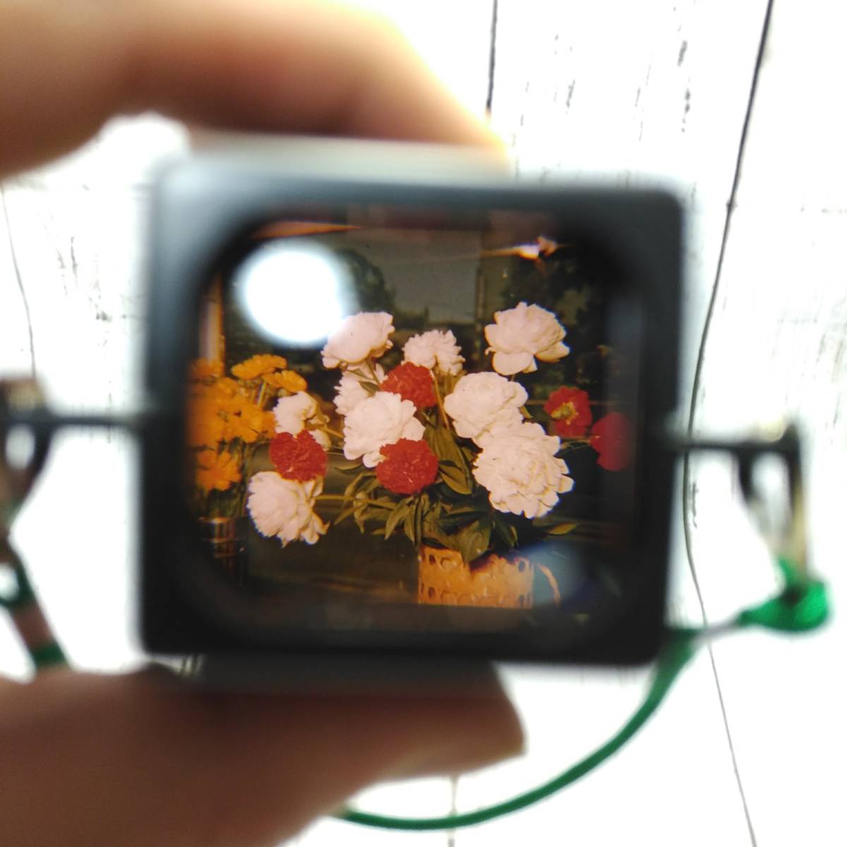 スライドビュワー Fujichrome Professional ポジ リバーサル フィルム マウント スライド ビューワー ビューアー ビュワー ビュアー フィルム 売買されたオークション情報 Yahooの商品情報をアーカイブ公開 オークファン Aucfan Com