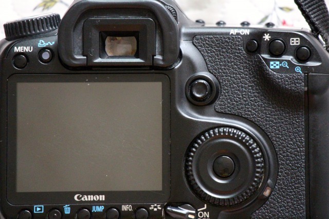 CANON EOS 40D ＋タムロン マクロレンズ /セット | THEPARKCOMPANIES.COM