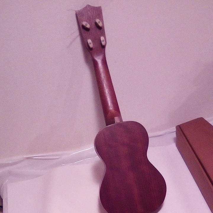 famousウクレレ　ココナッツ202