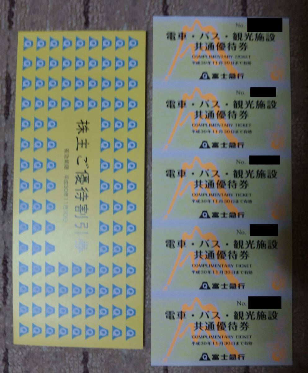 富士急行 株主優待 富士急ハイランド フリーパス 2名様分相当 匿名配送