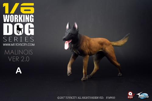 定番，本物保証 Toyscity TC-M9010A 1/6スケール 犬 マリノア ベルジアン シェパード Working Dog Series Malinois Ver 2.0(生き物)｜売買されたオークション情報、yahooの商品情報をアーカイブ公開 - オークファン 生き物