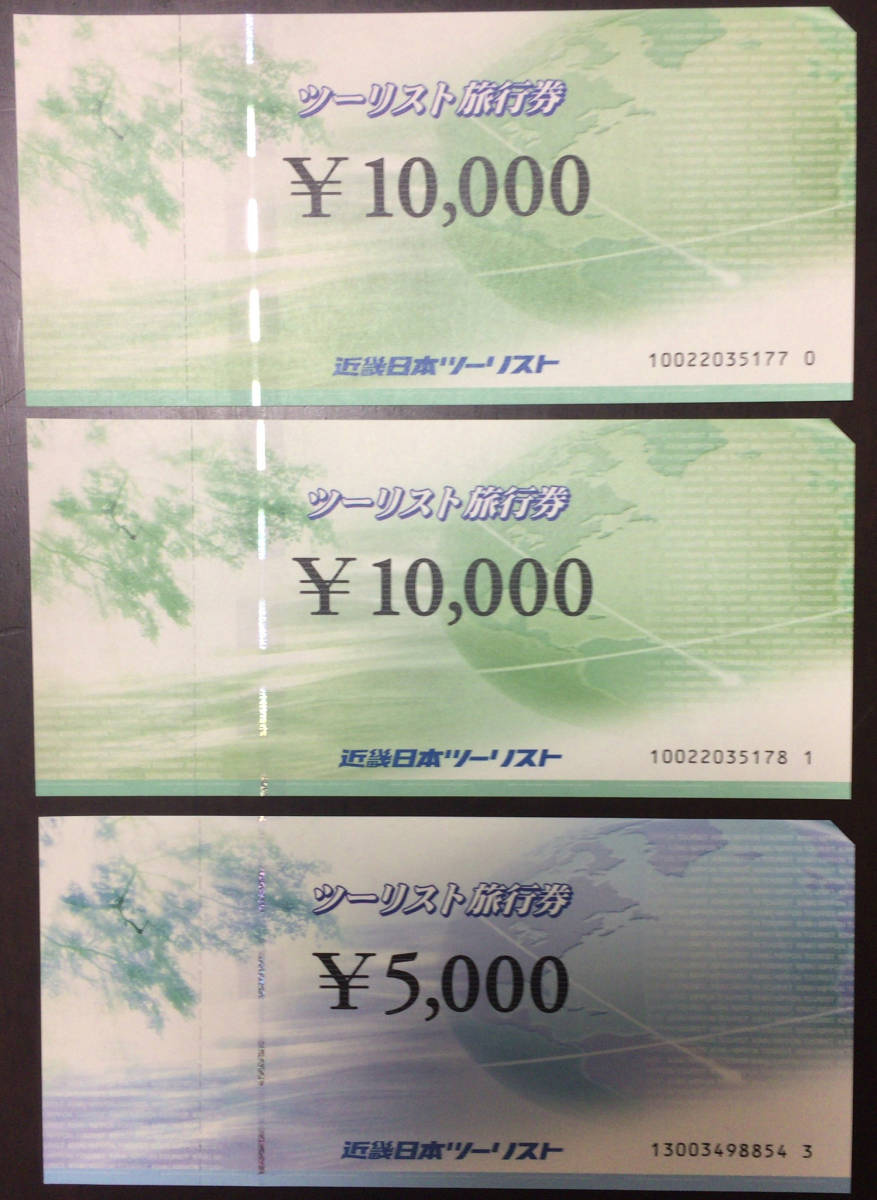 送料無料　近畿日本ツーリスト　旅行券　25000円分