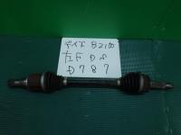 k303455260.1