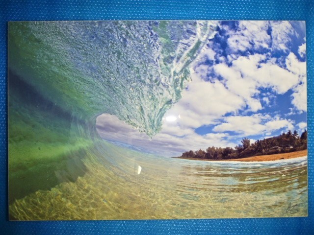 Clark | Little(クラークリトル)通販 GREENROOM GALLERY - ⁄ Prints 