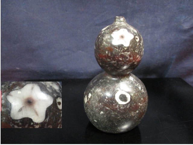 珍品 『梅花石』 北九州・門司梅花石 ウミユリ化石 天然記念物 瓢箪