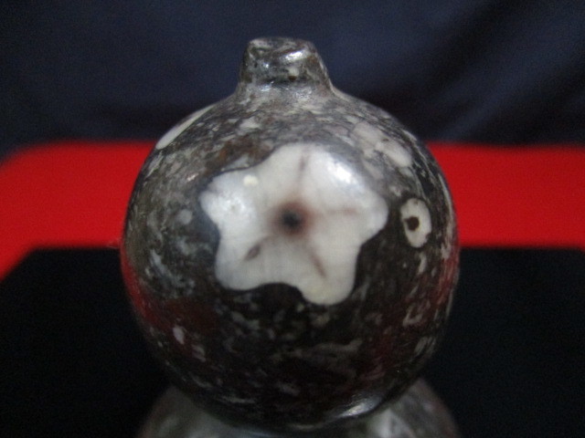 珍品 『梅花石』 北九州・門司梅花石 ウミユリ化石 天然記念物 瓢箪