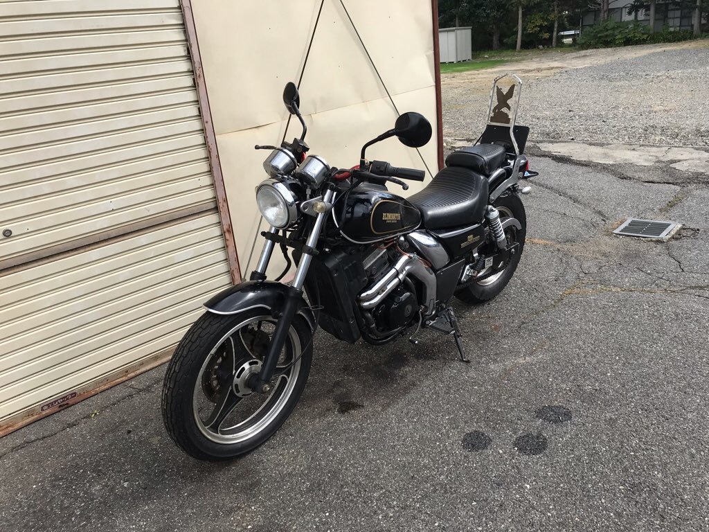 エリミネーター250SE 低走行 カワサキ エリミネーター現地詳報 なんと 