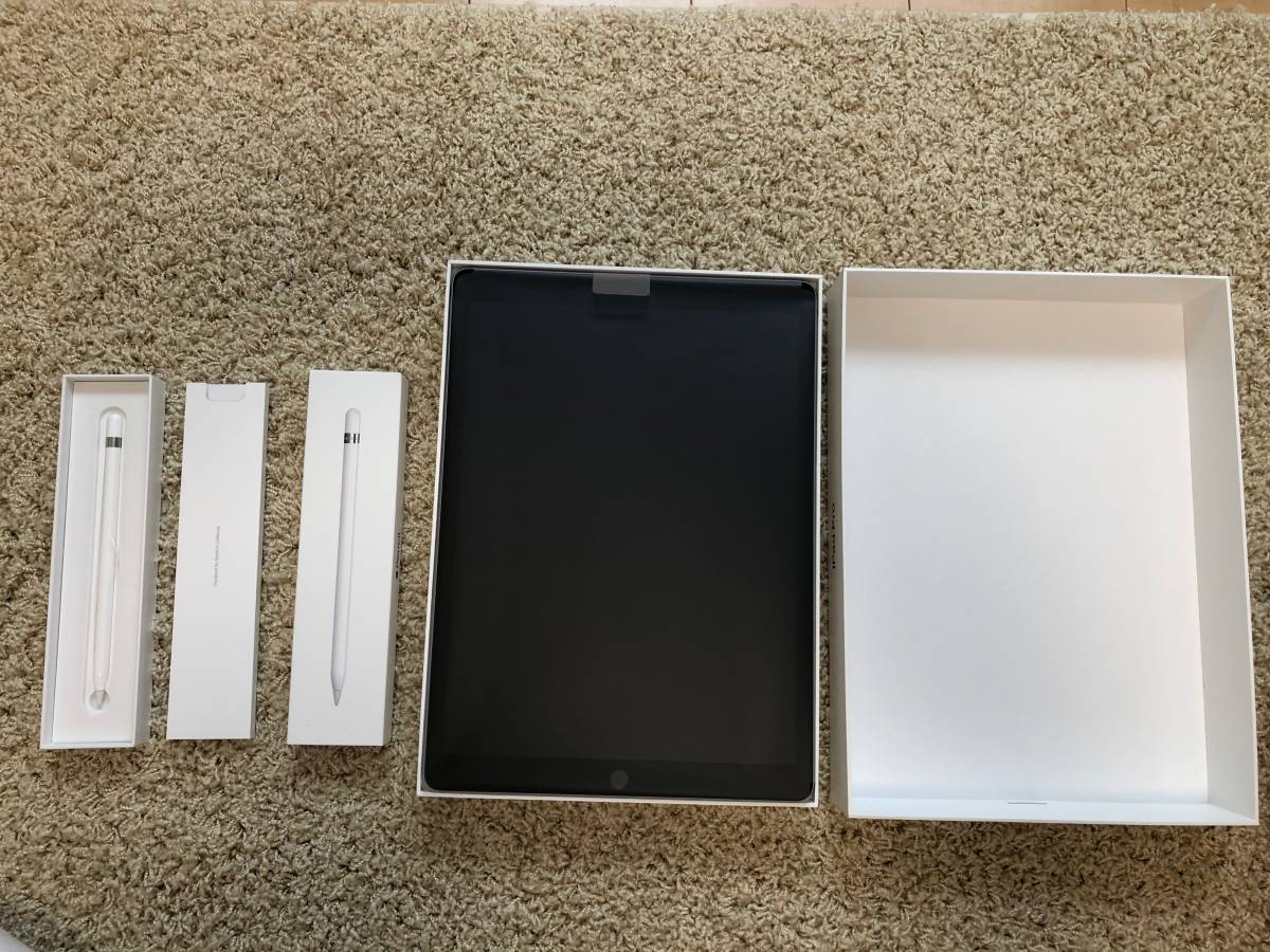 Apple ☆12.9インチiPad Pro (第2世代) Wi-Fi 256GB - スペースグレイ 