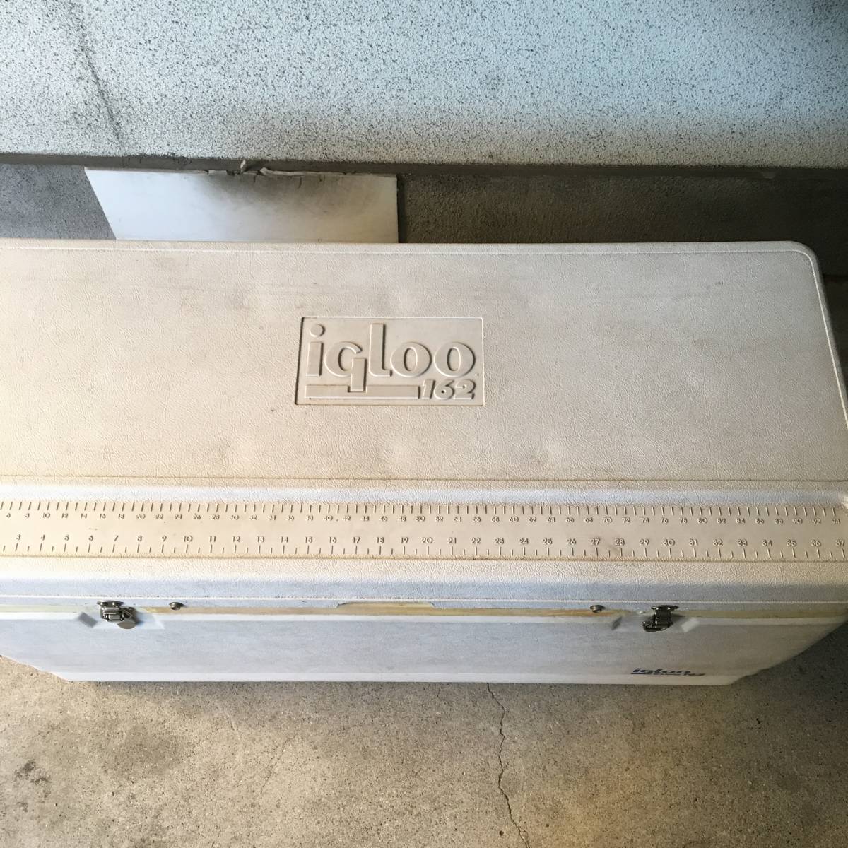 イグロー igloo クーラーボックス クエ アラ モロコ 