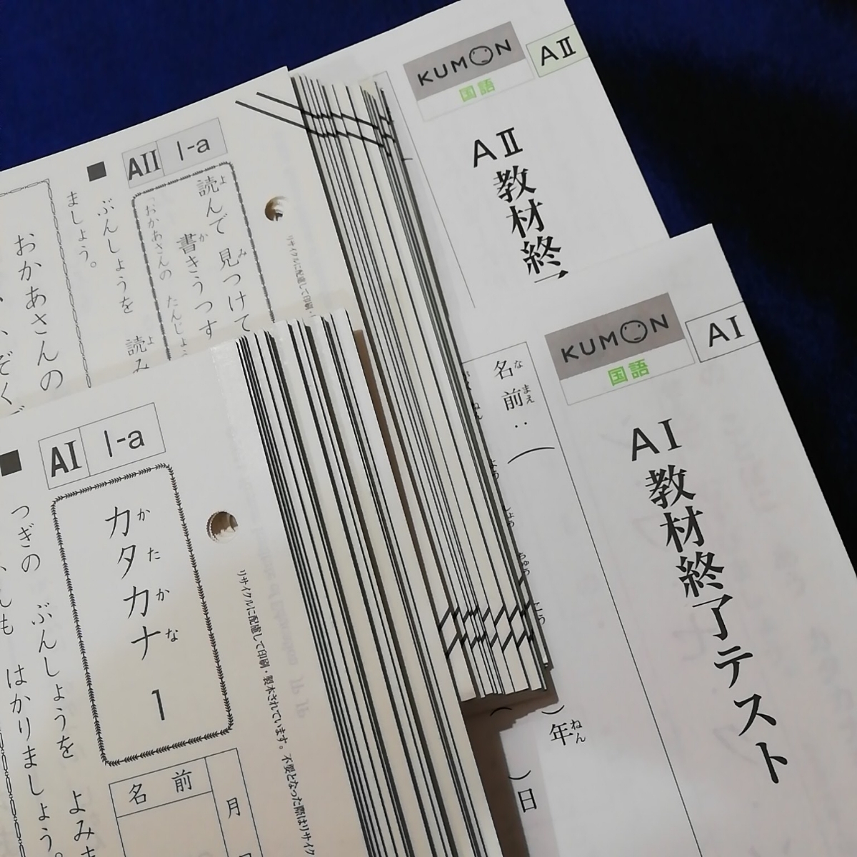 くもん　国語　AⅡ  プリント、終了テスト 新品 公文 くもん 公文国語A 公文国語プリントAⅠ AⅡ 終了テスト付き
