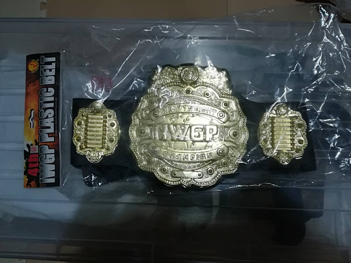 ＩＷＧＰ　トイベルト