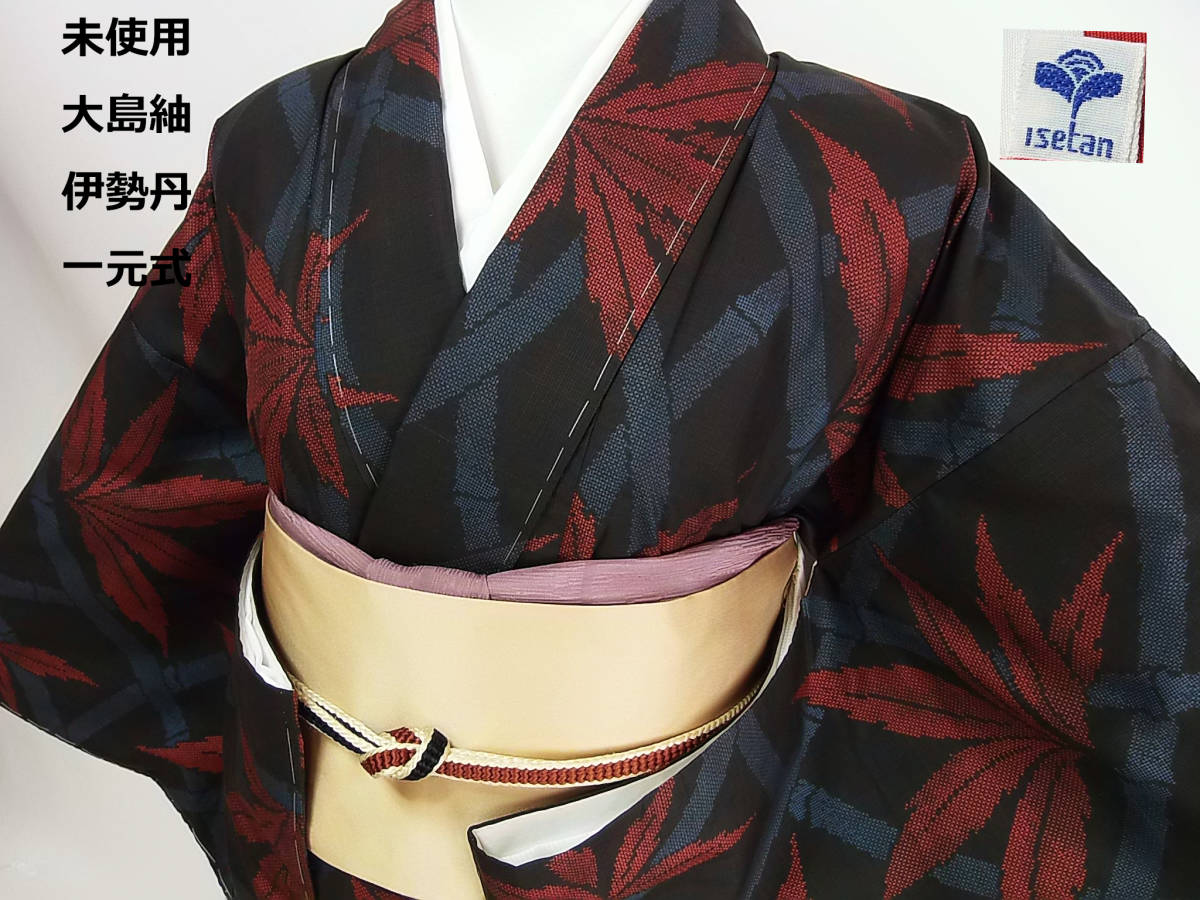 本場大島紬 ☆つばめ☆ 本場泥大島紬～花とツタたて柄～おしゃれ着物