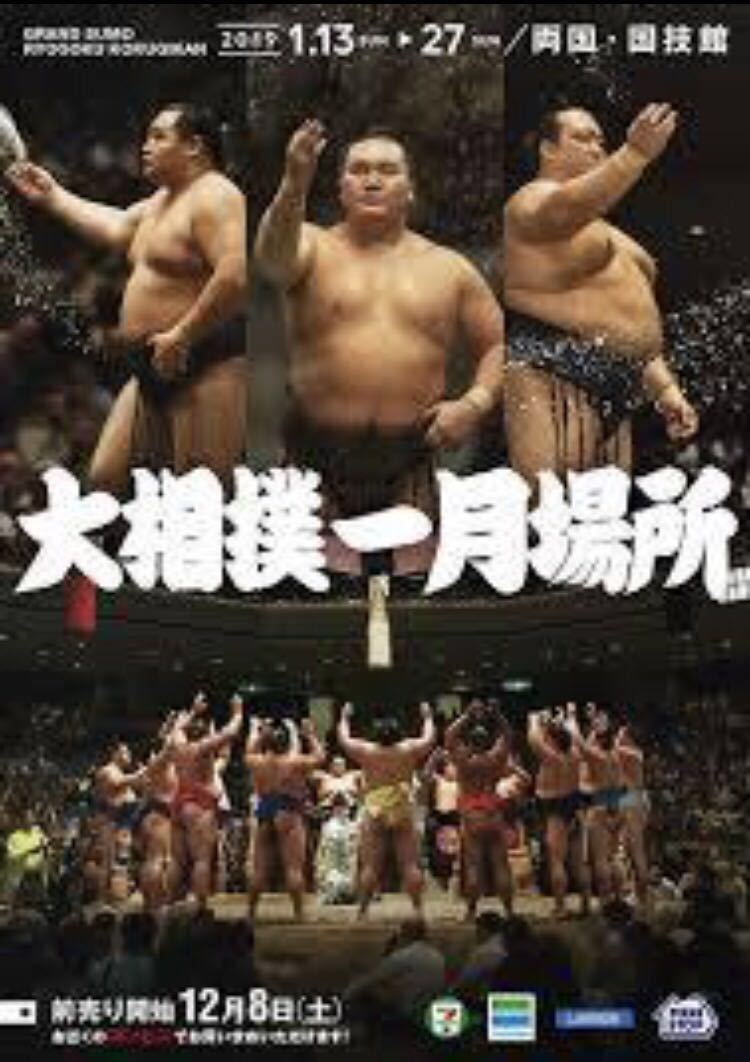 大相撲 1月25日 13日目【見やすいイスB席2枚 1組 】【これから初場所 観覧可能大相撲 】コンビニ発券 優勝 平成最後初場所 SUMOARENA 白鵬 