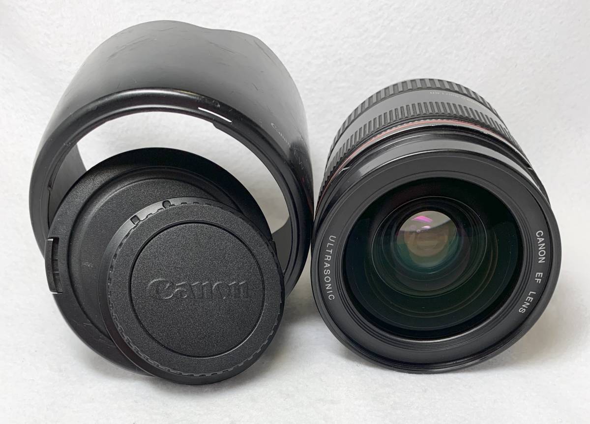 Canon 28-70mm Lens EF USM Zoom : RF F⁄2.8 L EOS STM IS com