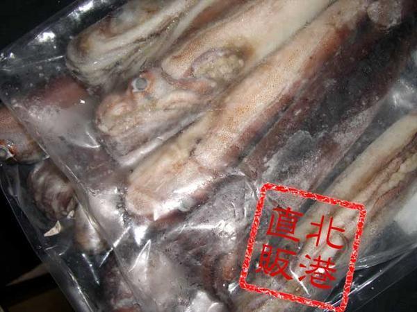 〔業務用大量・お買い得〕〔送料無料〕北海道函館産船凍急速冷凍真いか8ｋｇ（25～35杯）〔E〕北港直販☆イカ・するめいか・スルメイカ