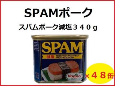 ☆　SPAM　スパムポーク【減塩】×４８缶 　☆おてがるゆうパック専用