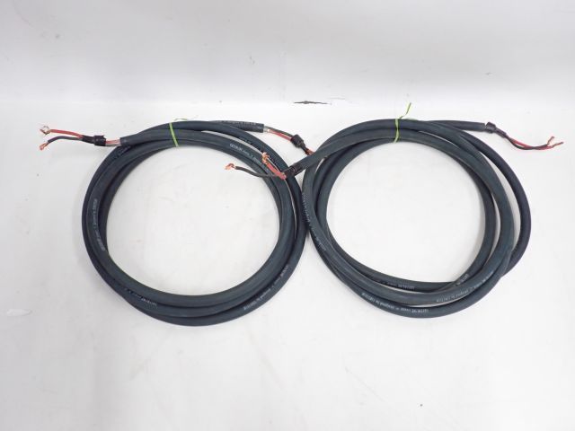 Einstein アインシュタイン GREENLINE ペア 約1.5m EINSTEIN アインシュタイン スピーカーケーブル GREENLINE THE THUNDER