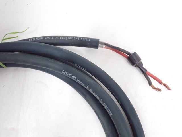 EINSTEIN アインシュタイン スピーカーケーブル GREENLINE THE THUNDER