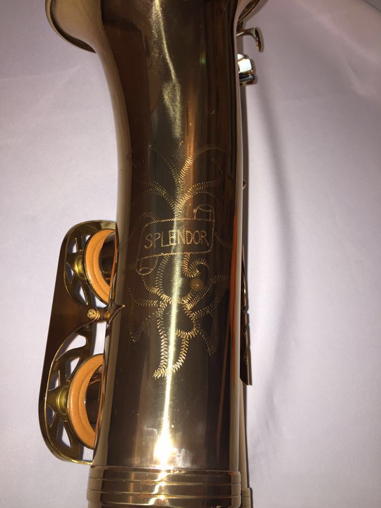 Splendor アルトサックス 管楽器 ハードケース付 アルトサックス