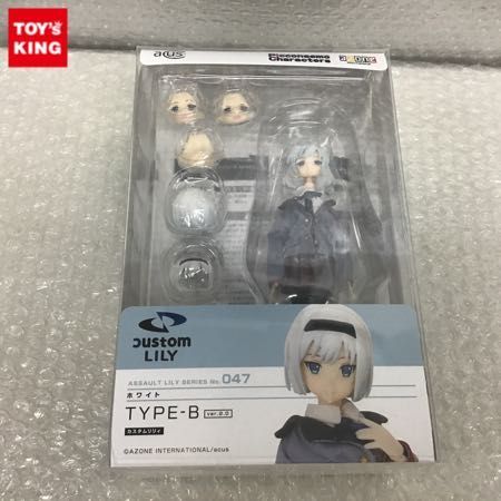 047-type-b-ver-2-0