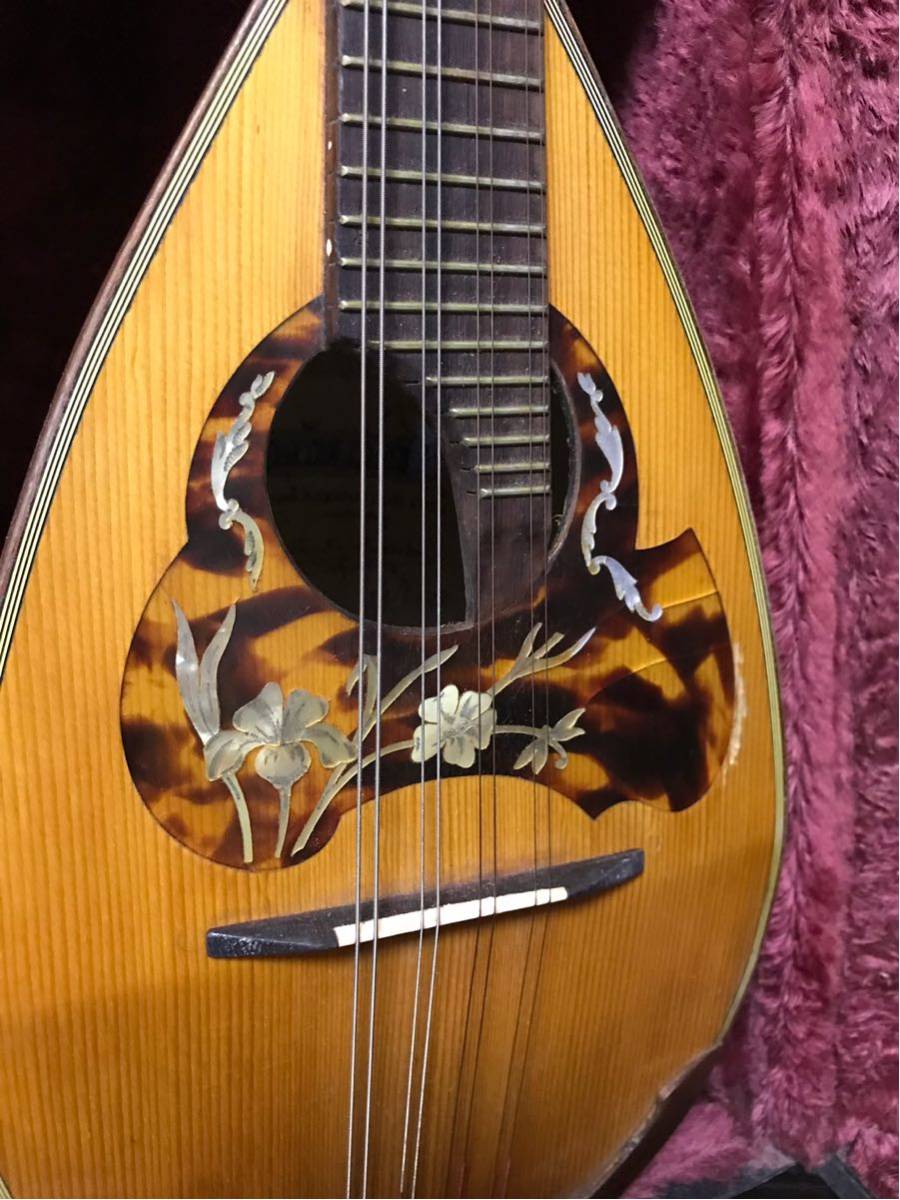 Calace Raffaele マンドリン (Nicola 0 from Mandolin Calace) Maria