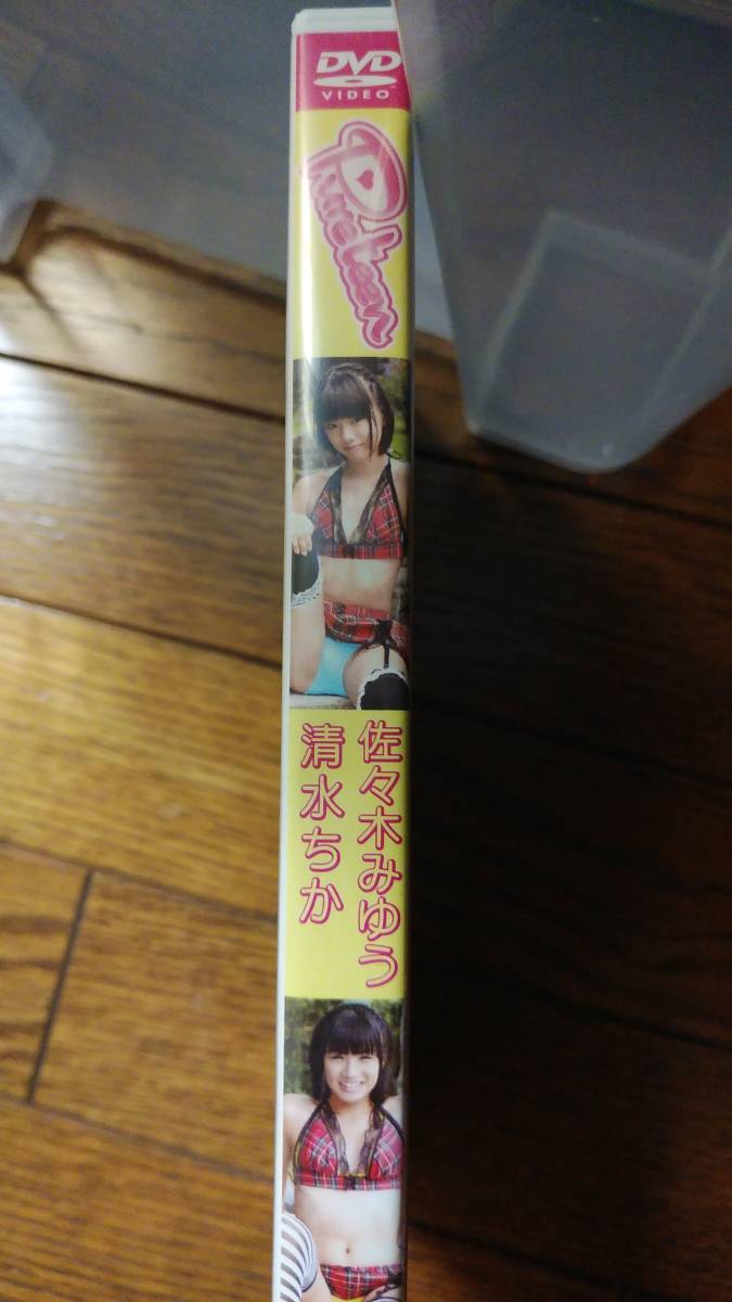 佐々木みゆう 清水ちか　DVD