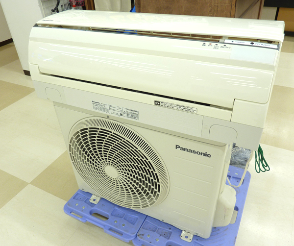 新製品の通販 深海松 レインボーコーラル 虹色 七色 天然 珊瑚 サンゴ
