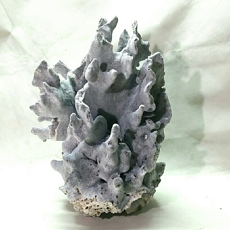 8【珊瑚】珍品！☆青色 ブルー 飾り サンゴ礁 置物☆白 海水魚 水槽