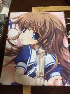 槇原みずほ 抱き枕カバーのYahoo!オークション(旧ヤフオク!)の