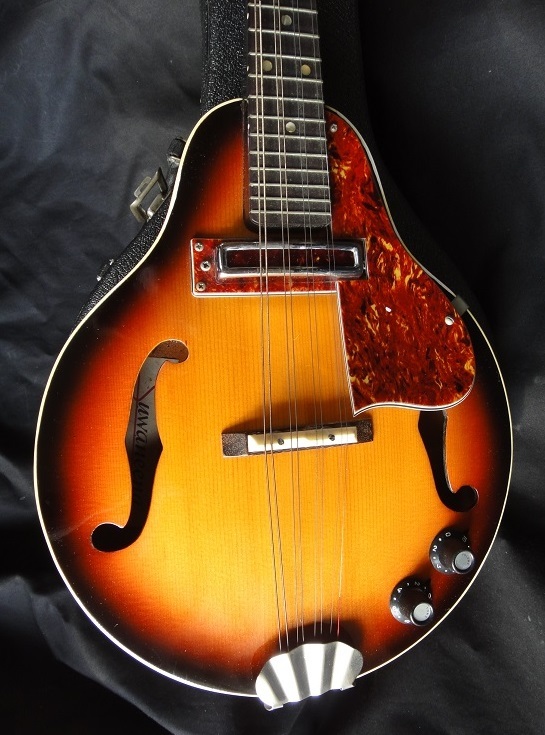Japan Vintage エレクトリック マンドリン ☆ Suwaneena ELECTRIC