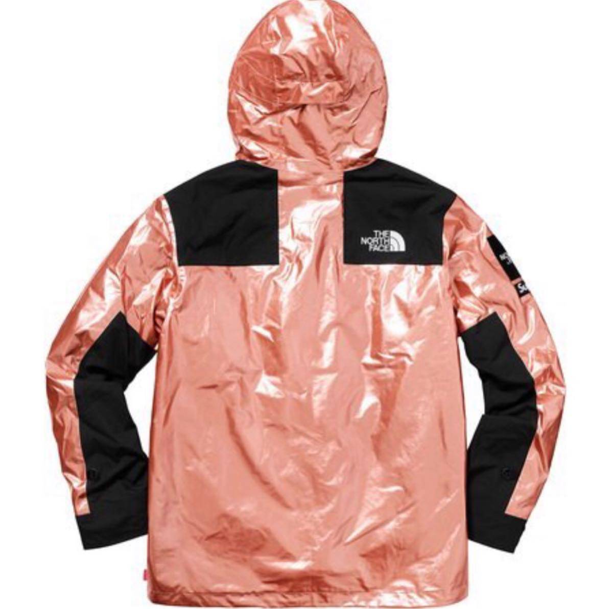 18SS Supreme North Face Metallic Mountain Parka Rose Gold ノース 