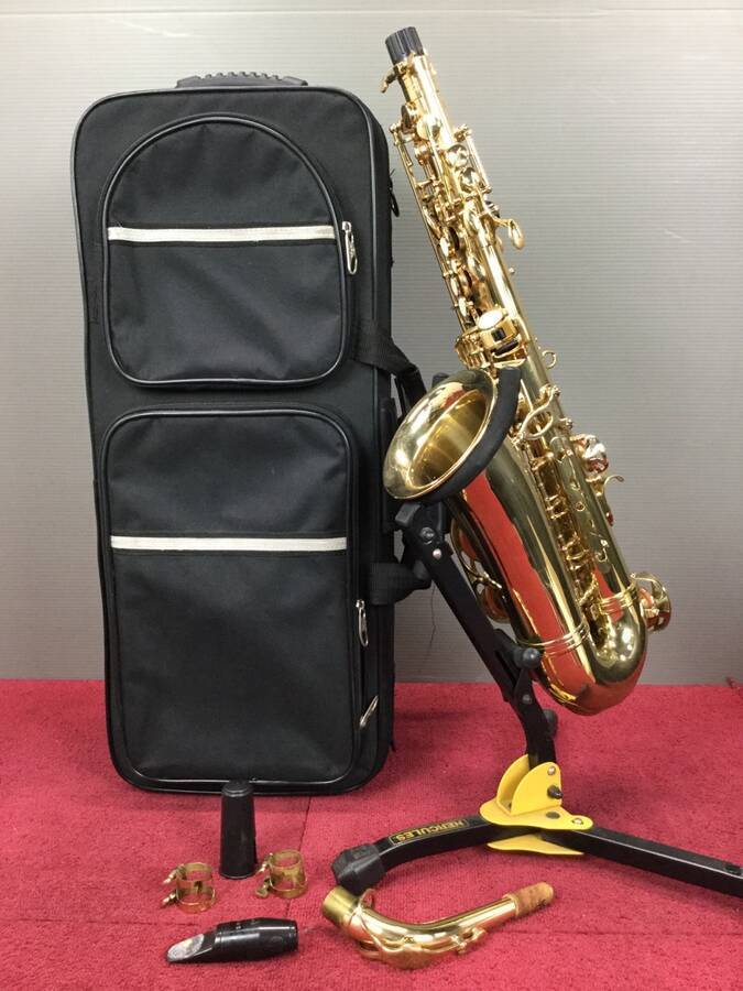 【極美品】Valenteアルトサックス0509 完動品 Valente アルトサックス 【公式通販】