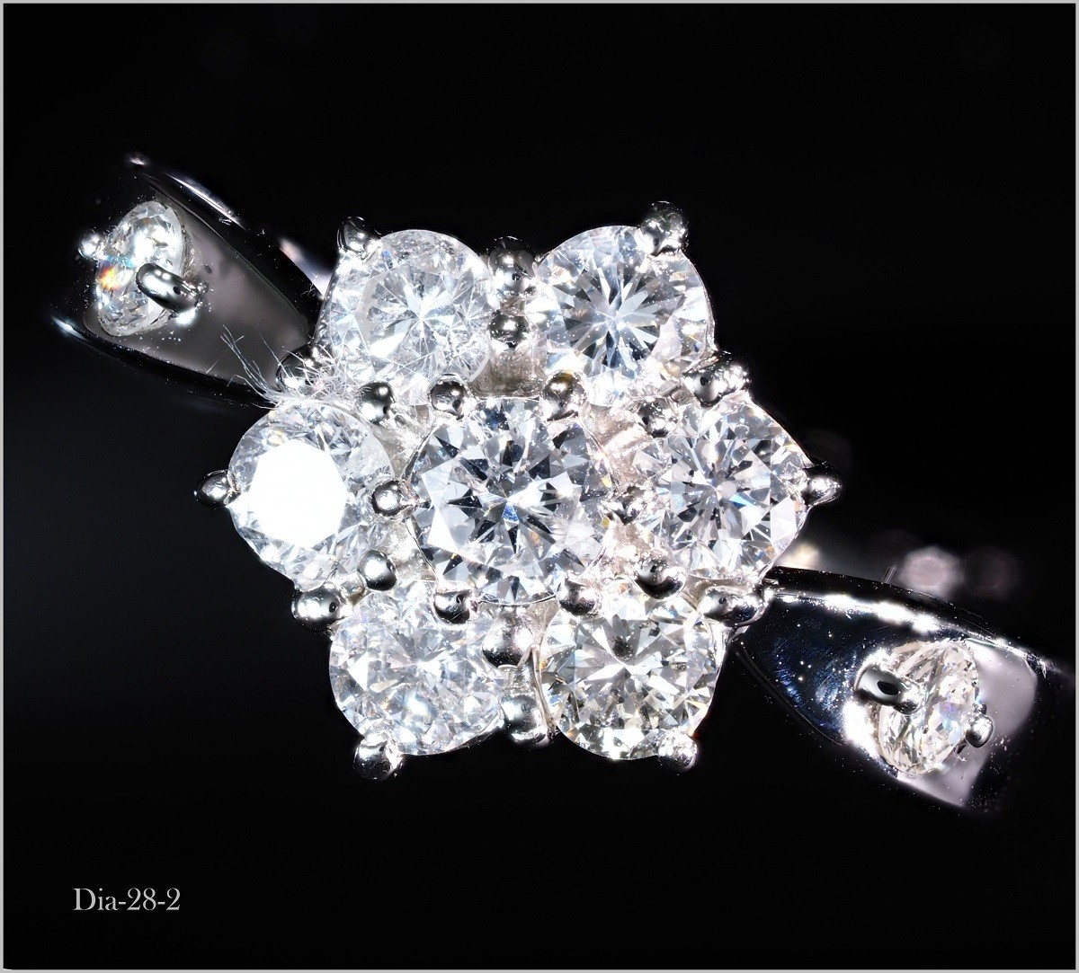 j592159013.2