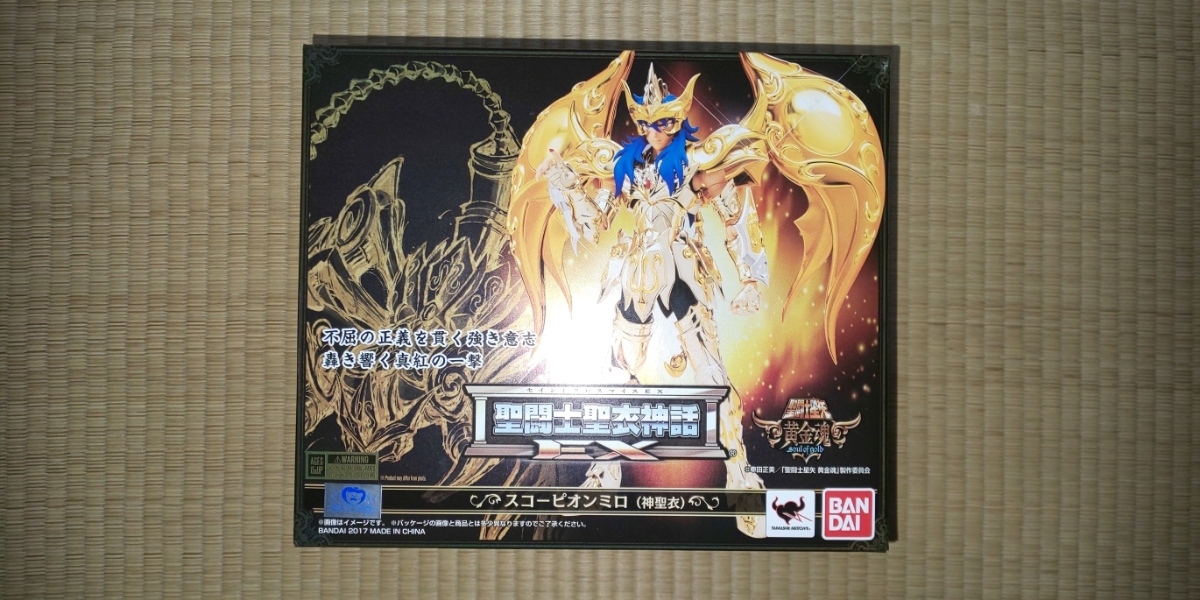 聖闘士聖衣神話EX | TAMASHII 聖闘士星矢 NATIONS COLOR : 商品一覧 