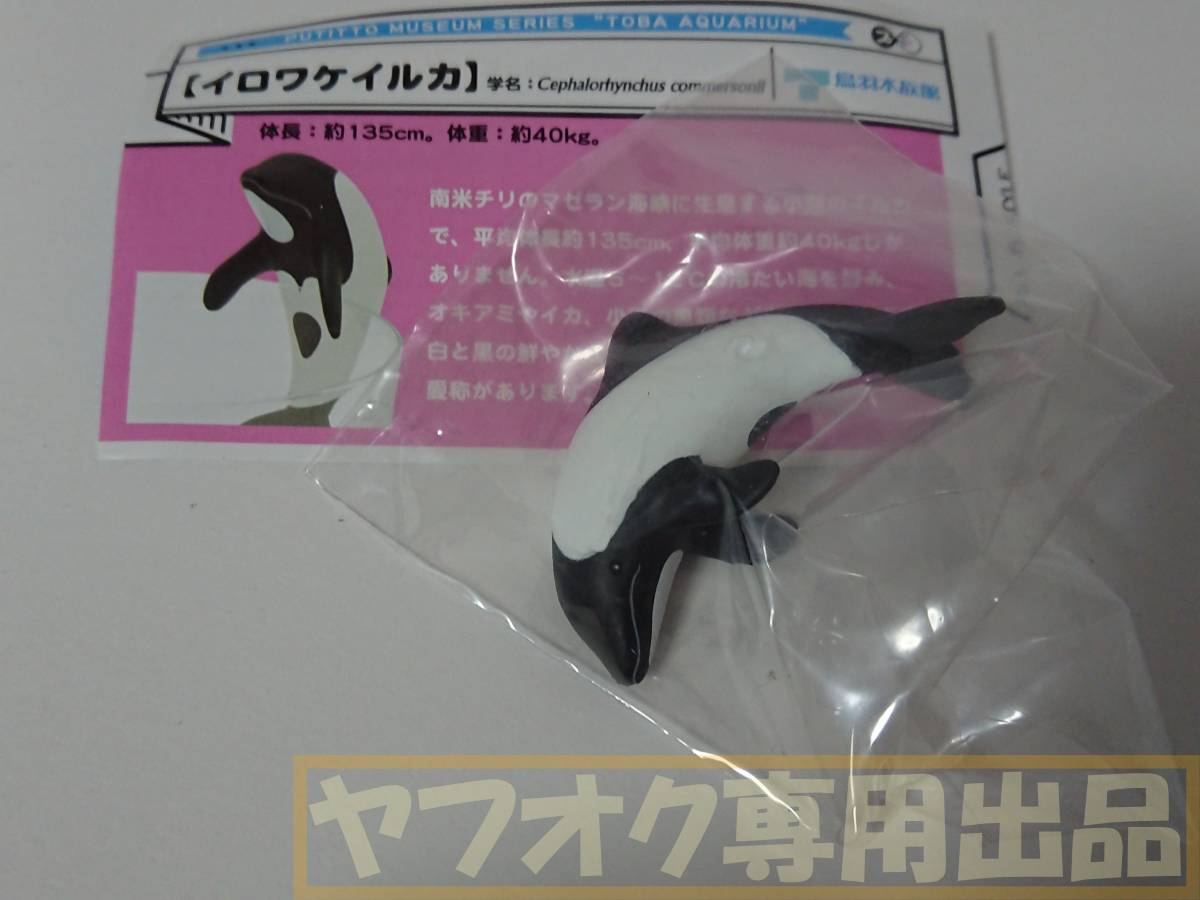 Putitto イロワケイルカ 鳥羽水族館 とば水族館 フィギュア ミニチュア コップのフチ子 キタンクラブ イルカ 生き物 売買されたオークション情報 Yahooの商品情報をアーカイブ公開 オークファン Aucfan Com