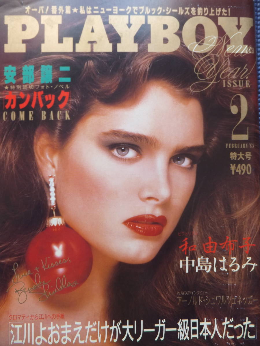 B043 Playboy プレイボーイ 日本版第152号 昭和63年2月 中島はるみ 和由布子 アーノルド シュワルツェネッガー キンバリー コンラッド アイドル 芸能人 売買されたオークション情報 Yahooの商品情報をアーカイブ公開 オークファン Aucfan Com