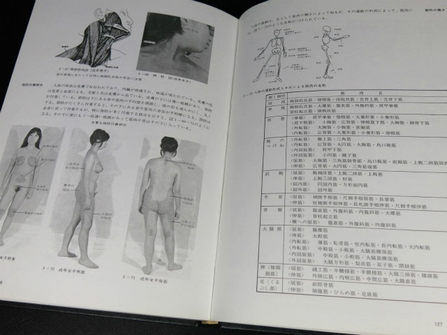 造形的修練としての素描論 芸術選書7 岩田弥富 芸大出版会 1989