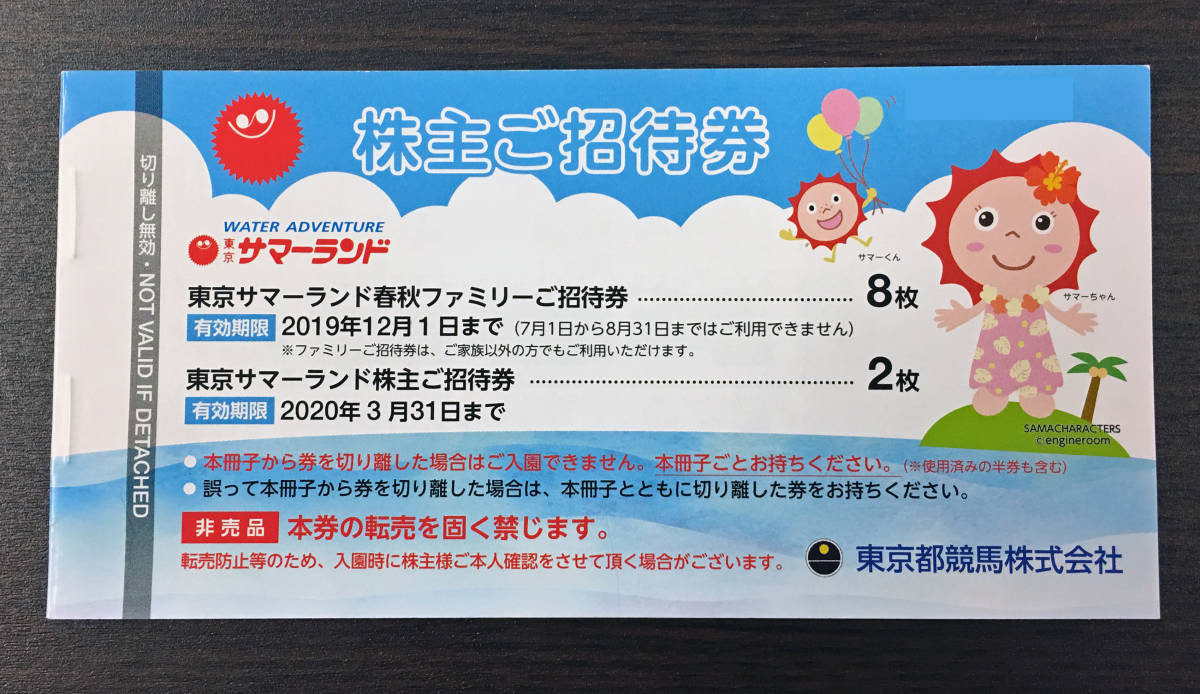 東京サマーランド 株主ご招待券 6枚 平たい