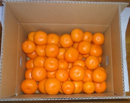お歳暮用　☆有田みかん☆　赤秀　1５KG　２Sから２L　早生　生産者直送　002