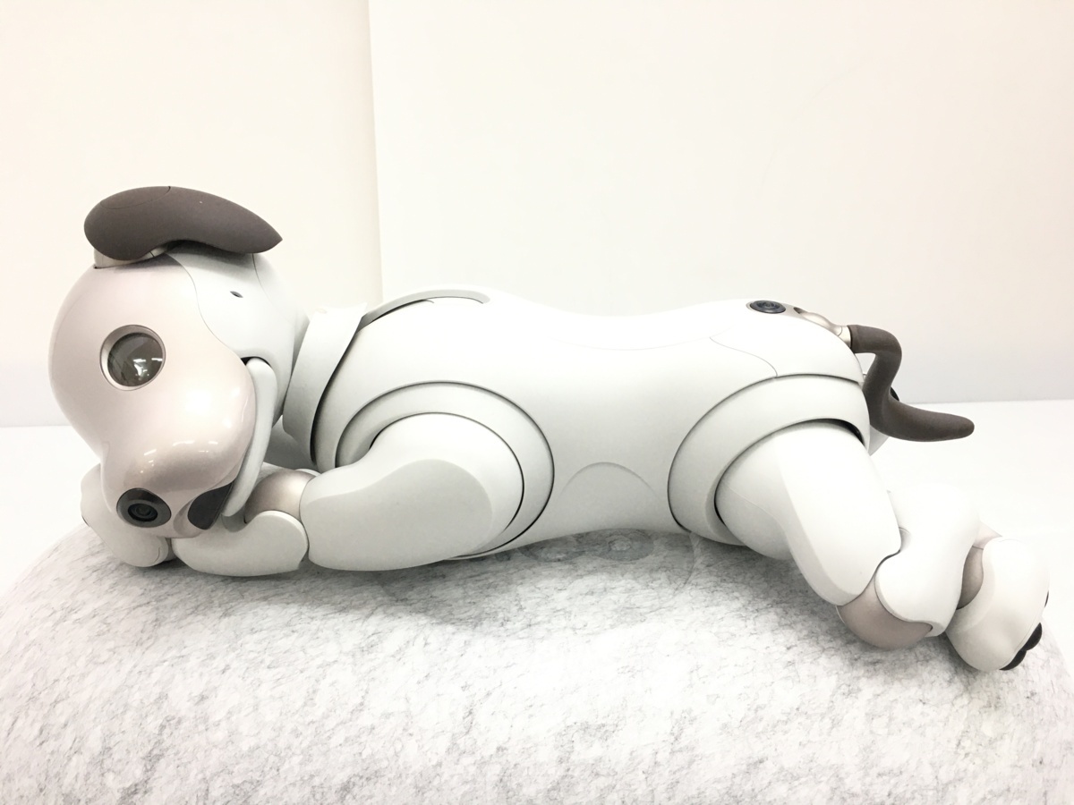 aibo ERS-1000 ソニー アイボ | AIBO ペットロボット 家電 SONY