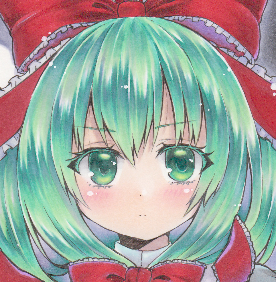 同人手描きイラスト【東方Project/東方/鍵山雛】A4(手描きイラスト