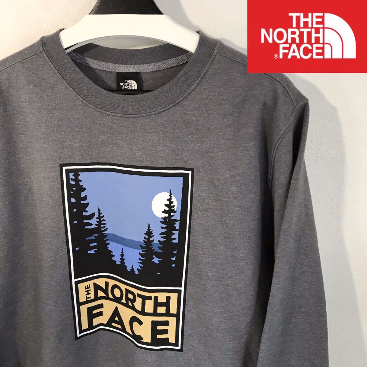 【新作，大得価】 レアデザイン ①点入荷 新作 The North Face パーカー メンズL グレー 月 森デザイン ブランドロゴ スウェットトレーナー(トップス)｜売買されたオークション情報、yahooの商品情報をアーカイブ 男性用
