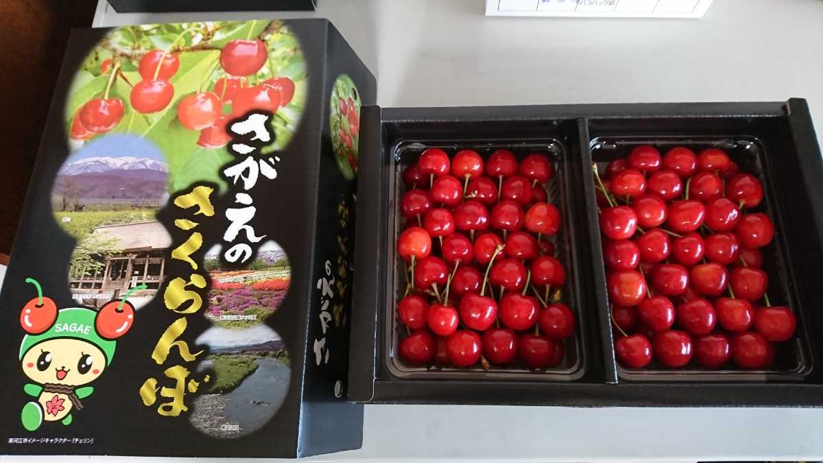 さくらんぼ 佐藤錦 1kg 山形県寒河江市産 「佐藤錦」 山形県産 L