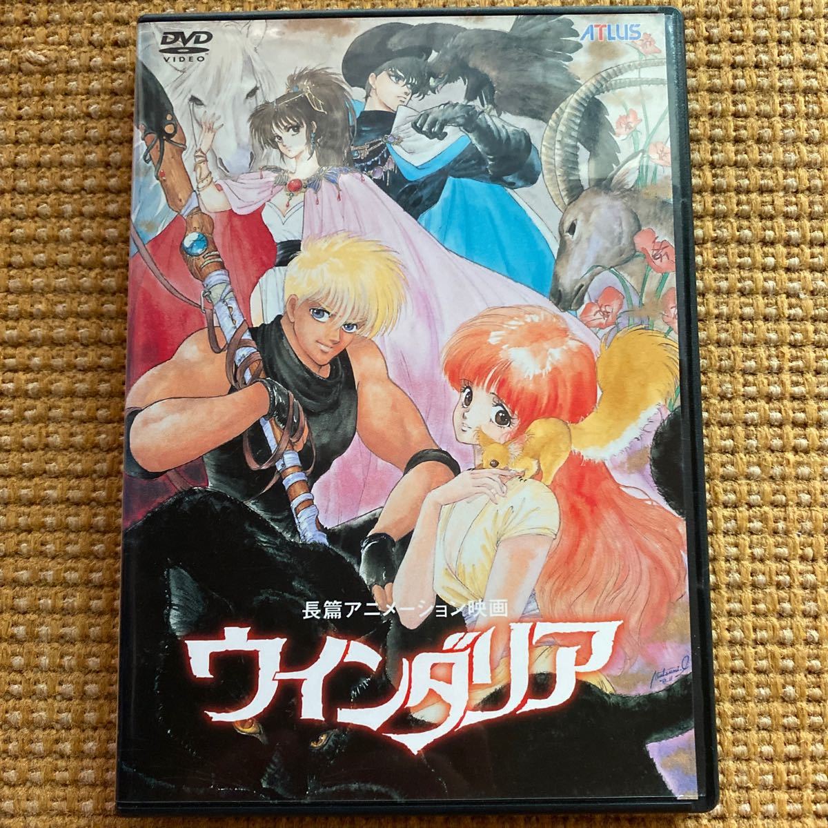 DVD ウインダリア [DVD] : ウィンダリア メルカリ - 2026年最新ウィン
