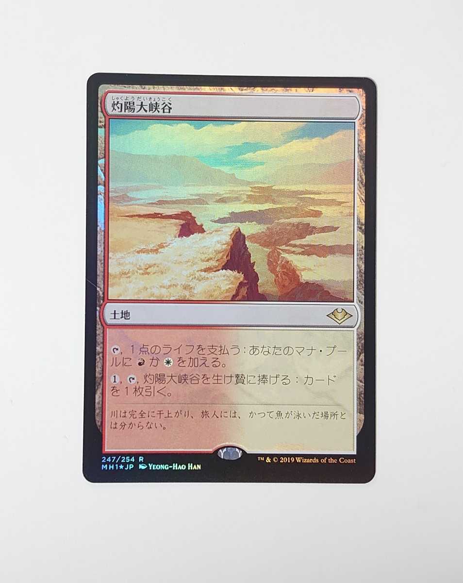 MTG 灼陽大峡谷 4枚セット 日本語 MTG 灼陽大峡谷 FOIL