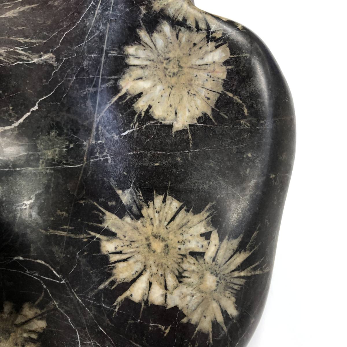菊花石 天然 鑑賞石 極希少猿投山の菊花石約203g 天然記念物水石鑑賞石菊